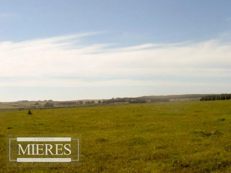 Chacra / Campo 60 ha en Maldonado — foto 2