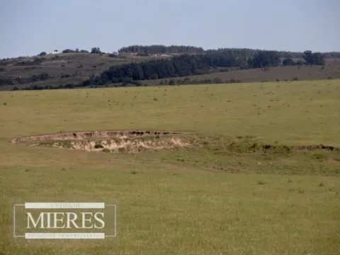 Chacra / Campo 60 ha en Maldonado — foto 4