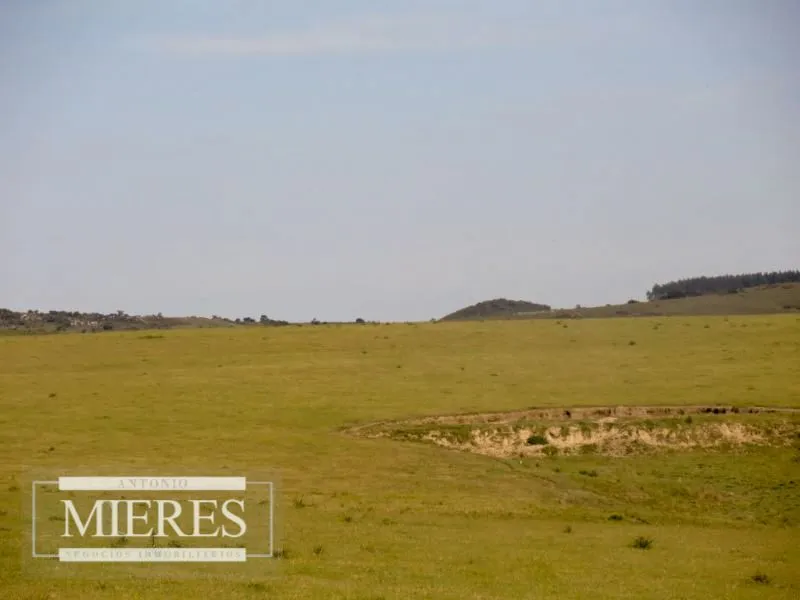 Chacra / Campo 60 ha en Maldonado — foto 7