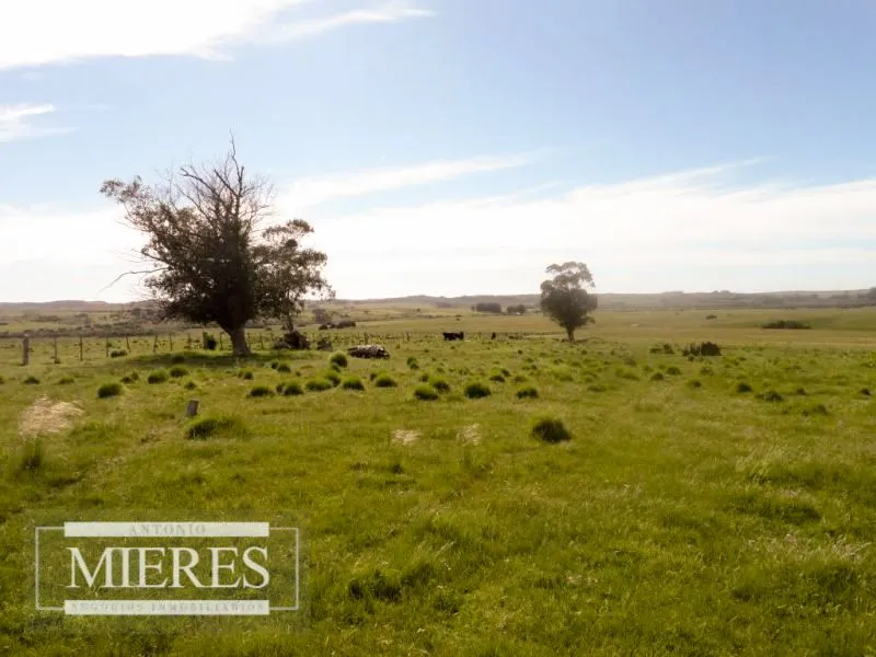 Chacra / Campo 60 ha en Maldonado — foto 10