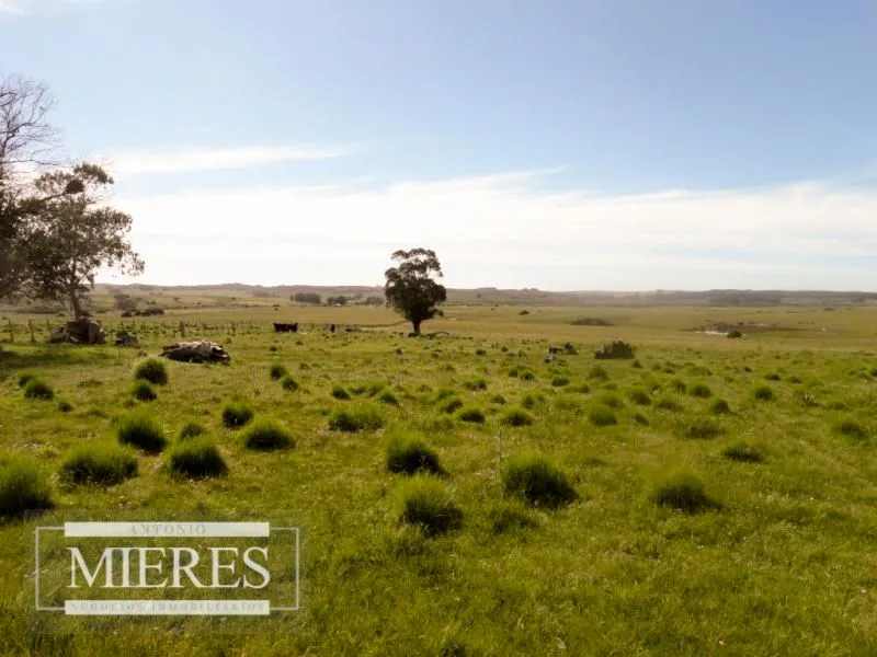 Chacra / Campo 60 ha en Maldonado — foto 11