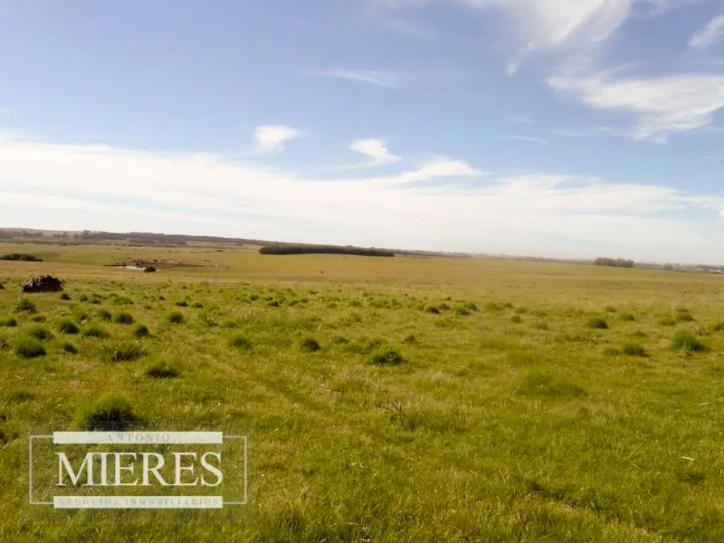 Chacra / Campo 60 ha en Maldonado — foto 12