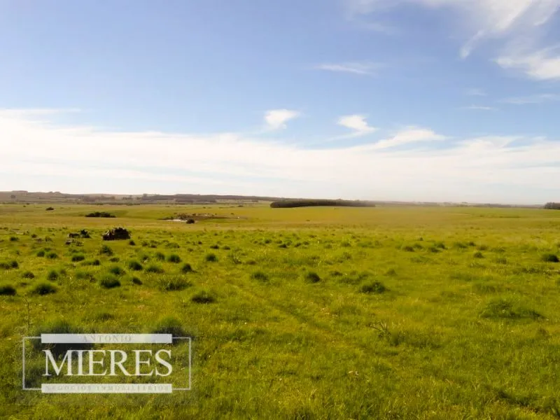 Chacra / Campo 60 ha en Maldonado — foto 13