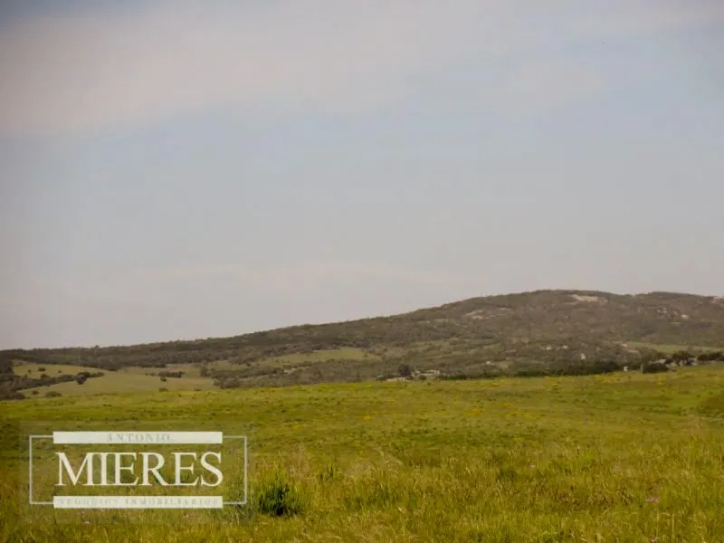 Chacra / Campo 60 ha en Maldonado — foto 15