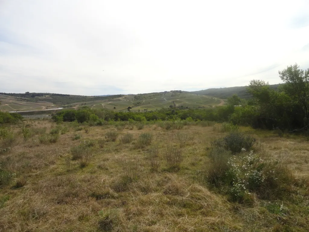 Chacra / Campo 7 ha en Maldonado — foto 2
