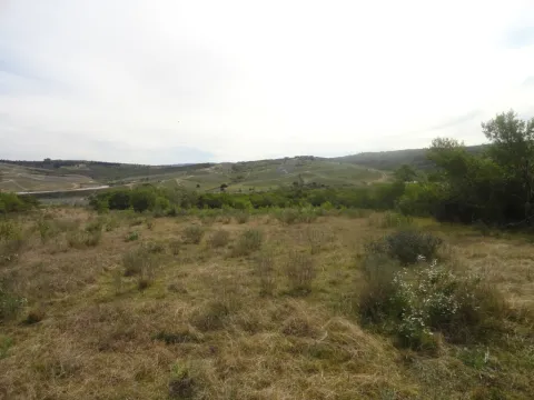 Chacra / Campo 7 ha en Maldonado — foto 2