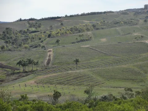 Chacra / Campo 7 ha en Maldonado — foto 3