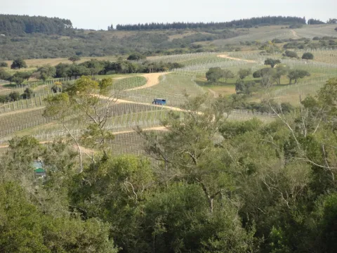 Chacra / Campo 7 ha en Maldonado — foto 4