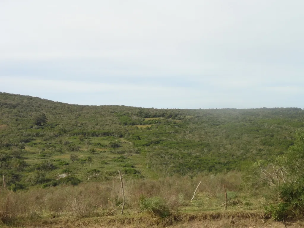 Chacra / Campo 7 ha en Maldonado — foto 5
