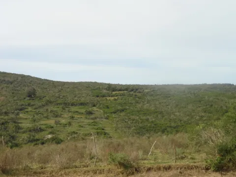 Chacra / Campo 7 ha en Maldonado — foto 5
