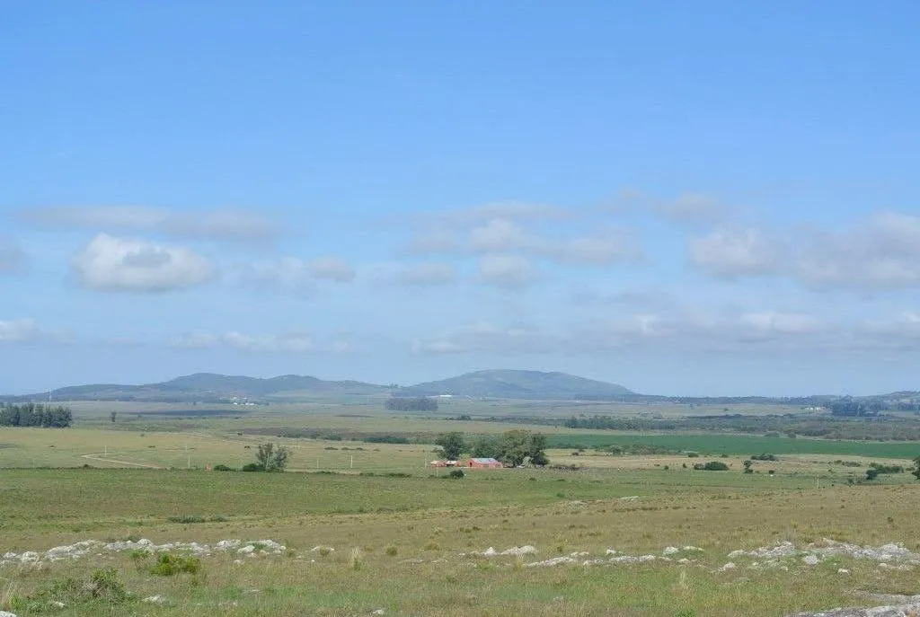 Chacra / Campo 371 ha en Maldonado — foto 1