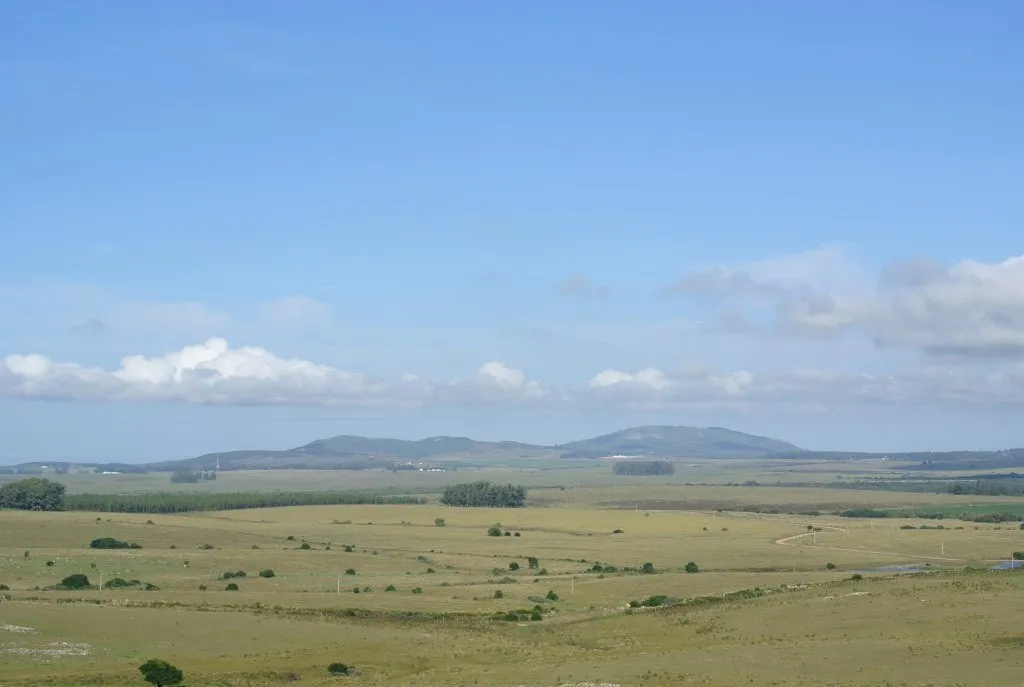 Chacra / Campo 371 ha en Maldonado — foto 4