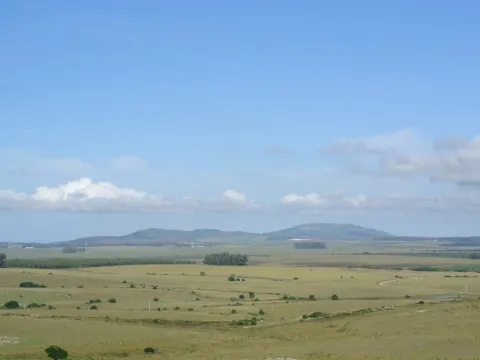 Chacra / Campo 371 ha en Maldonado — foto 4