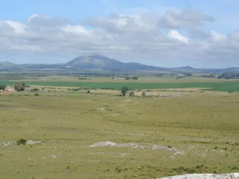 Chacra / Campo 371 ha en Maldonado — foto 5