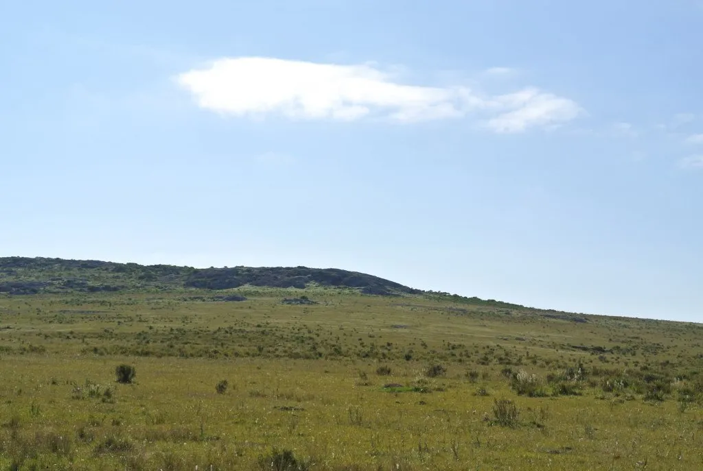 Chacra / Campo 371 ha en Maldonado — foto 6