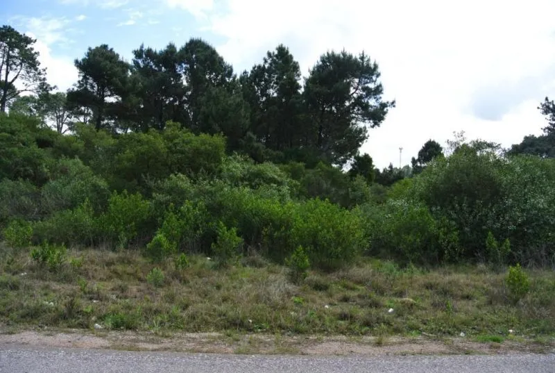 Venta Lote - Club del Lago — foto 2