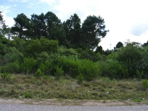 Venta Lote - Club del Lago — foto 2