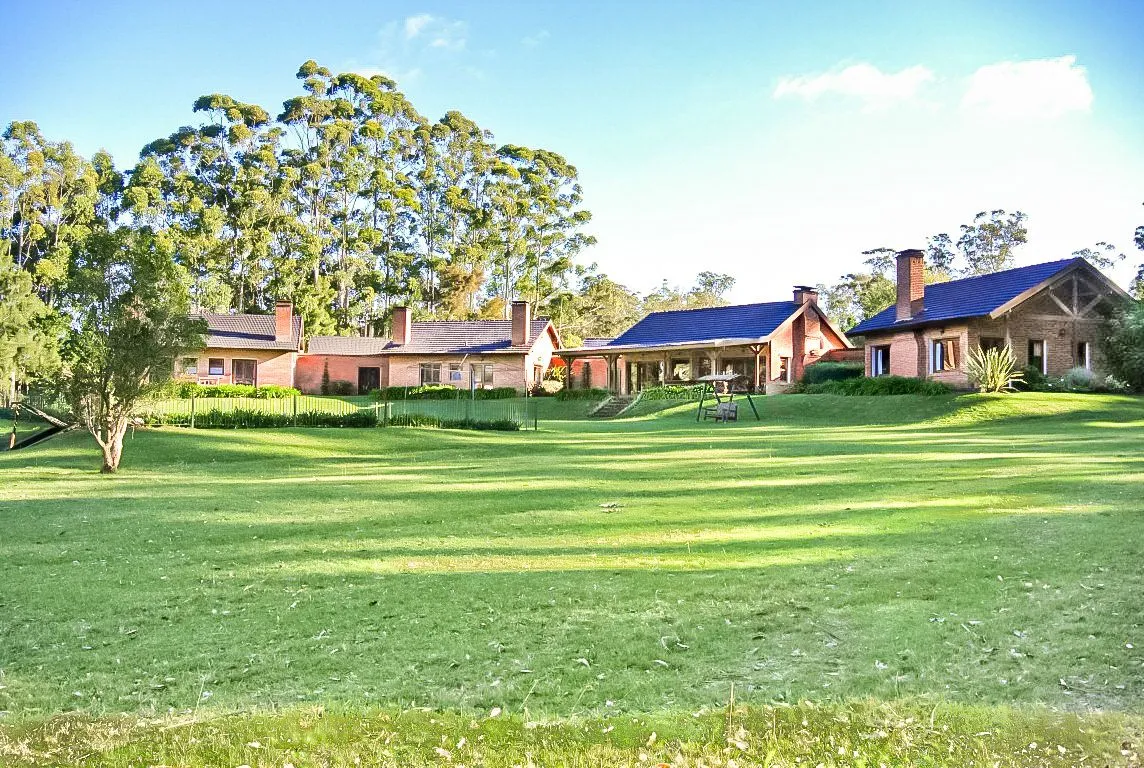 Chacra / Campo 10,5 ha en Punta Ballena — foto 1