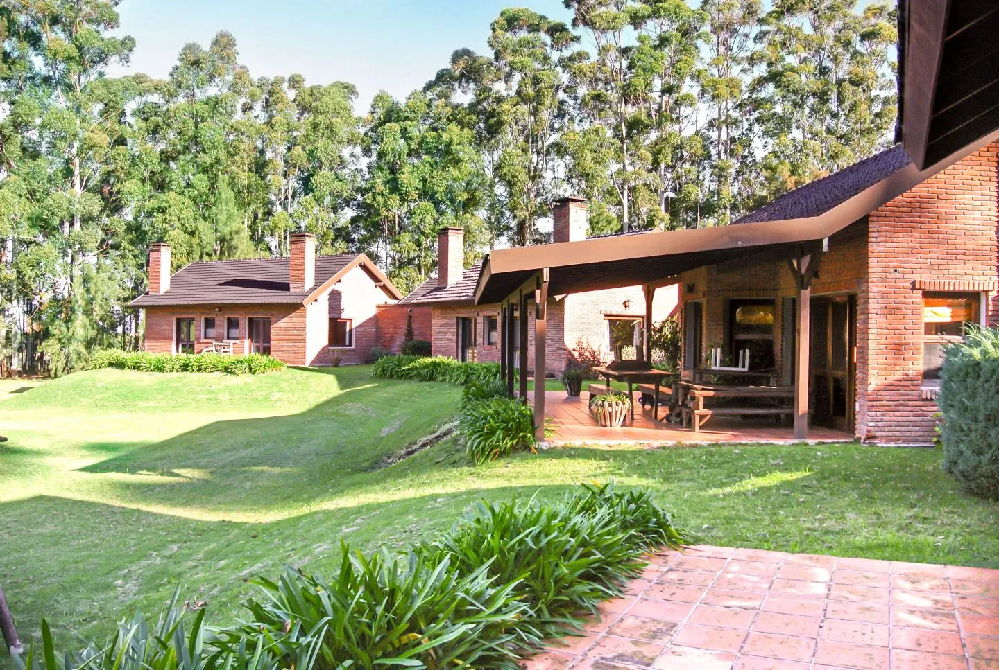Chacra / Campo 10,5 ha en Punta Ballena — foto 2