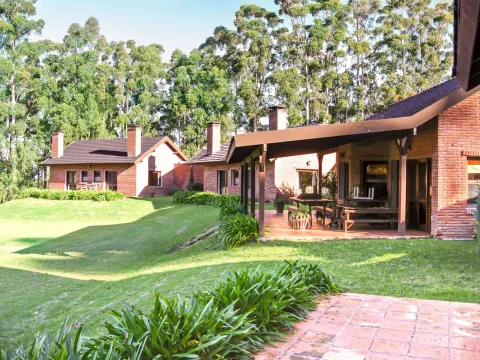 Chacra / Campo 10,5 ha en Punta Ballena — foto 2