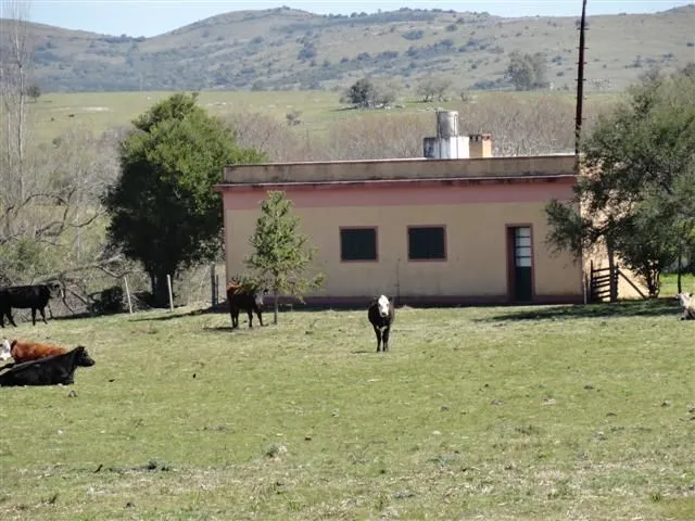 Chacra / Campo 37 ha en Maldonado — foto 1