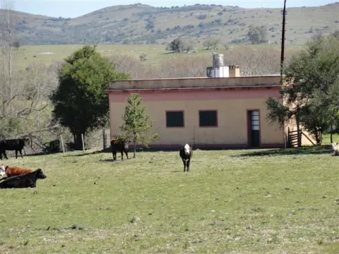 Chacra / Campo 37 ha en Maldonado