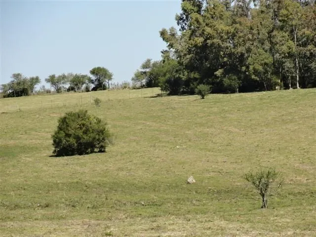 Chacra / Campo 37 ha en Maldonado — foto 2