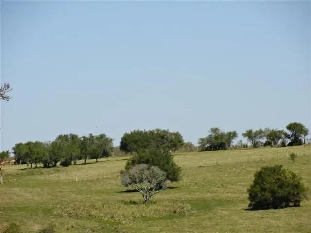 Chacra / Campo 37 ha en Maldonado — foto 3