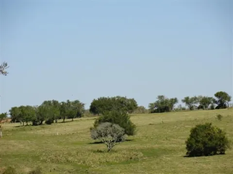 Chacra / Campo 37 ha en Maldonado — foto 3