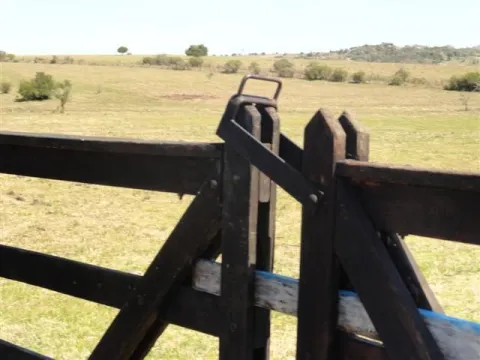 Chacra / Campo 37 ha en Maldonado — foto 4
