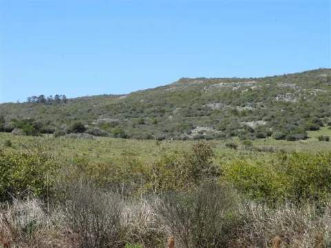 Chacra / Campo 37 ha en Maldonado — foto 5