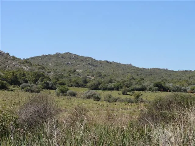 Chacra / Campo 37 ha en Maldonado — foto 9