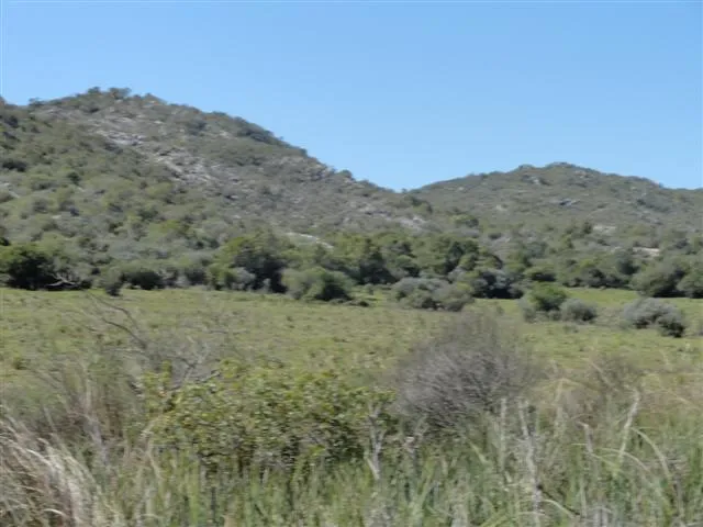 Chacra / Campo 37 ha en Maldonado — foto 10