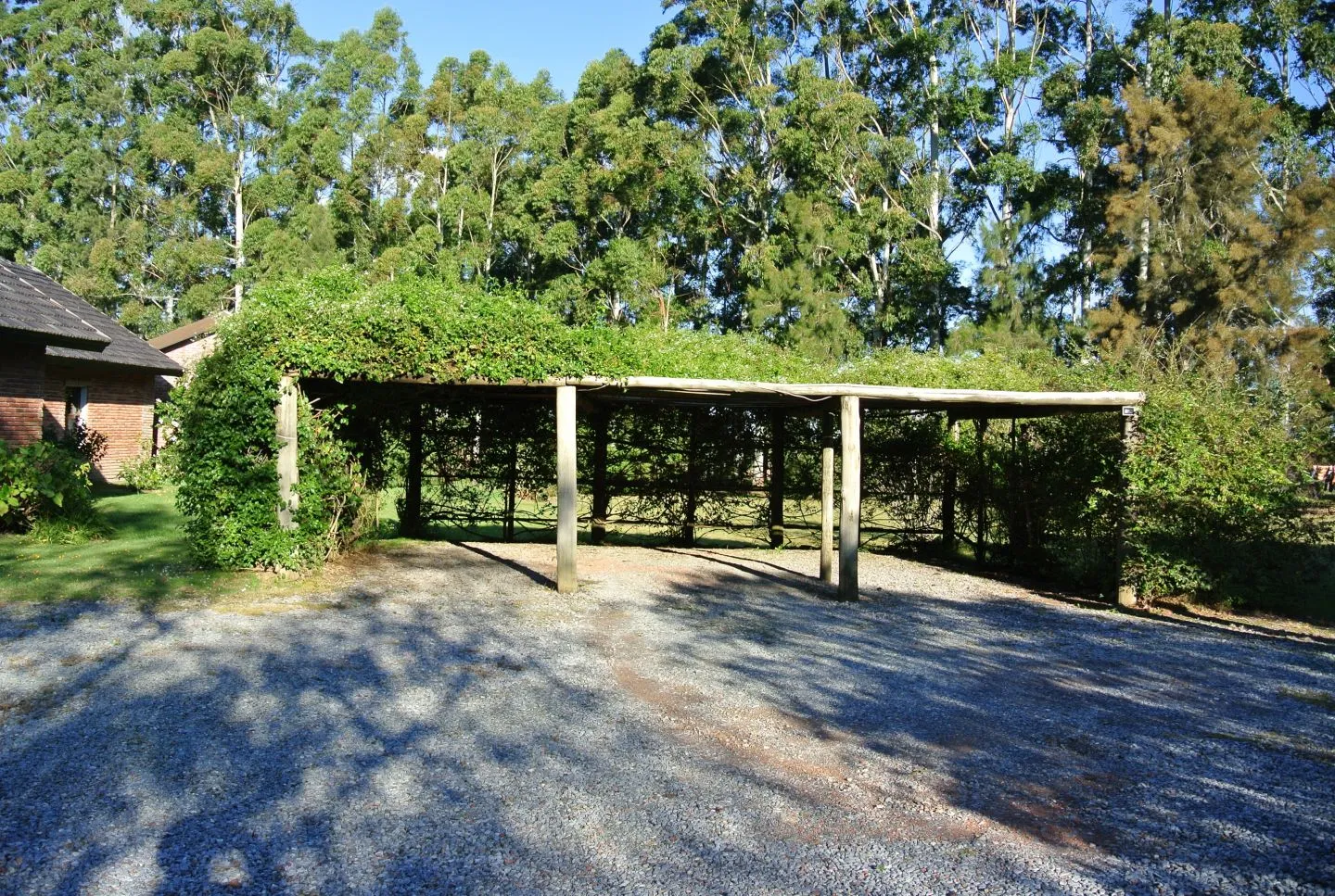 Chacra / Campo 10,5 ha en Punta Ballena — foto 16