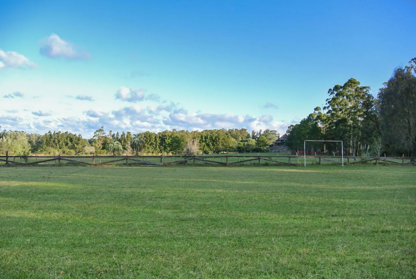 Chacra / Campo 10,5 ha en Punta Ballena — foto 17
