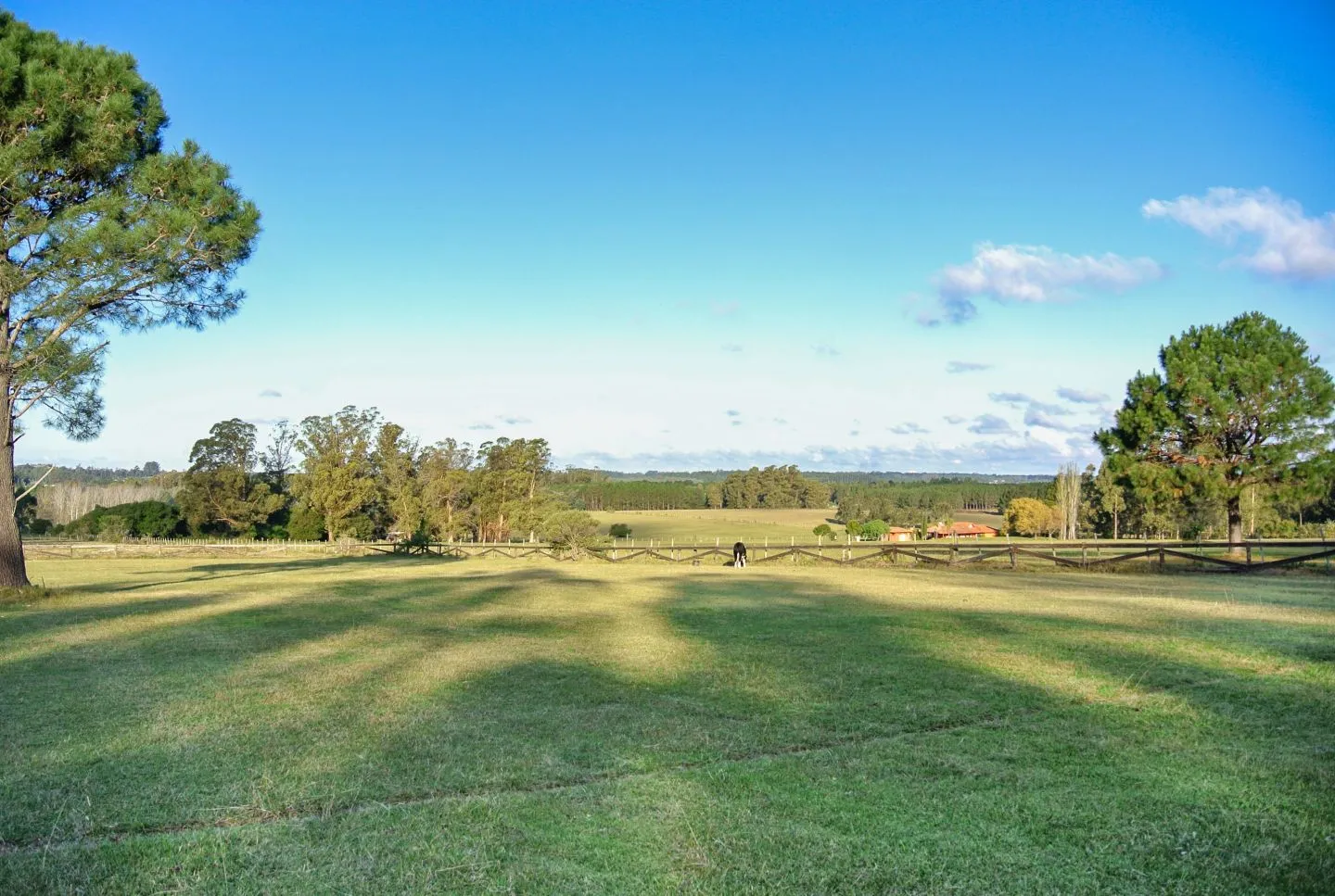 Chacra / Campo 10,5 ha en Punta Ballena — foto 18