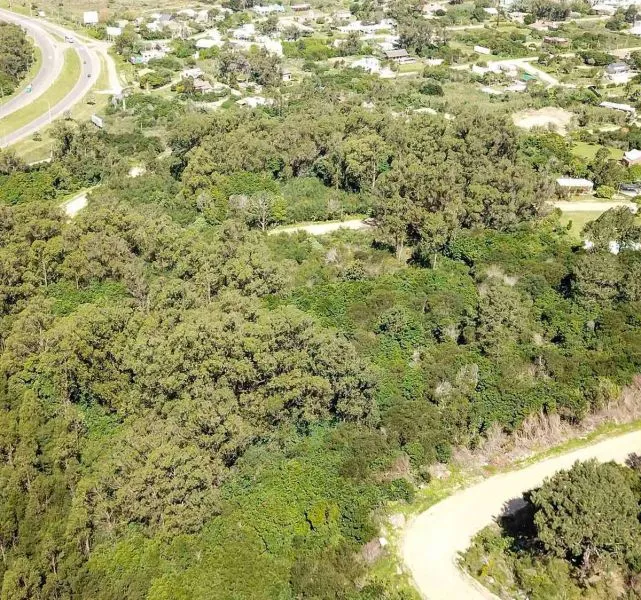 Terreno en Punta Del Este — foto 2