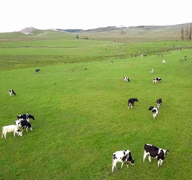 Campo en venta | Ruta 12 km 14 maldonado — foto 1