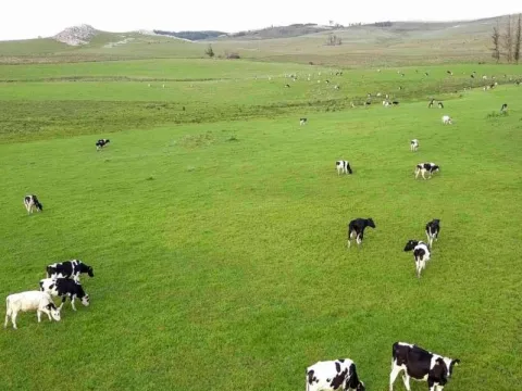 Campo en venta | Ruta 12 km 14 maldonado