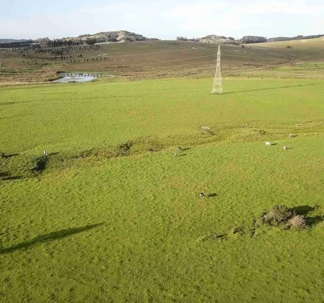 Campo en venta | Ruta 12 km 14 maldonado — foto 2