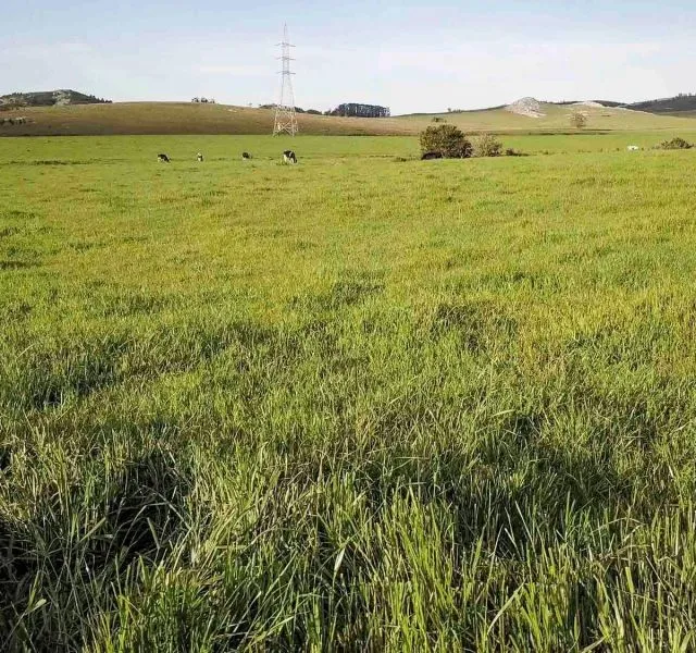 Campo en venta | Ruta 12 km 14 maldonado — foto 4