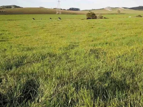 Campo en venta | Ruta 12 km 14 maldonado — foto 4