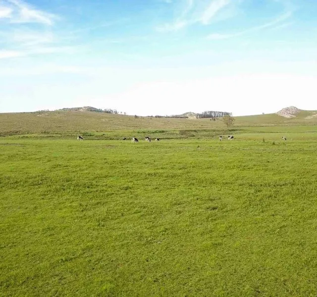 Campo en venta | Ruta 12 km 14 maldonado — foto 5