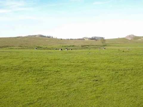 Campo en venta | Ruta 12 km 14 maldonado — foto 5