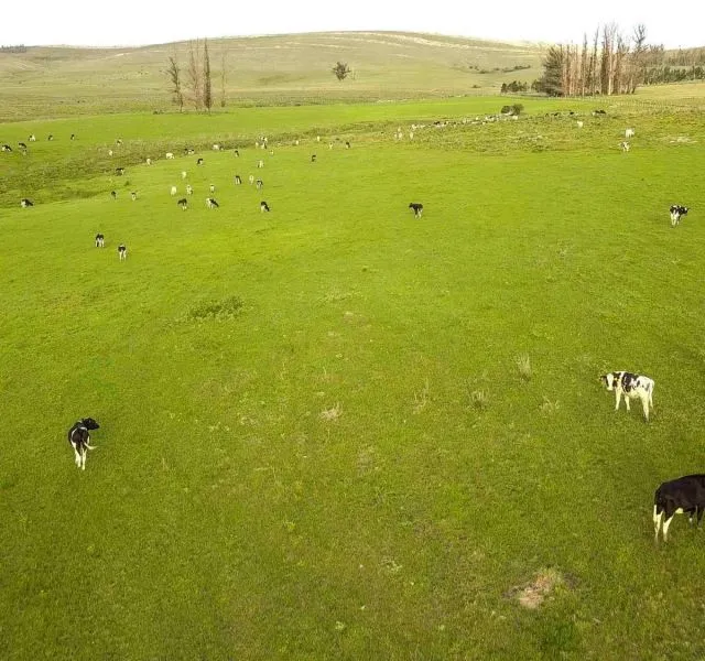 Campo en venta | Ruta 12 km 14 maldonado — foto 6
