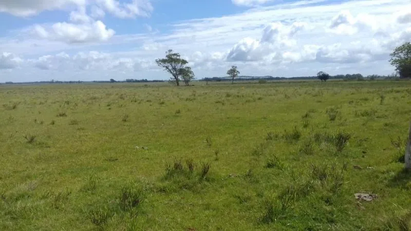 Campo en venta en Rocha 20ha — foto 1