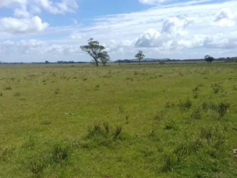 Campo en venta en Rocha 20ha