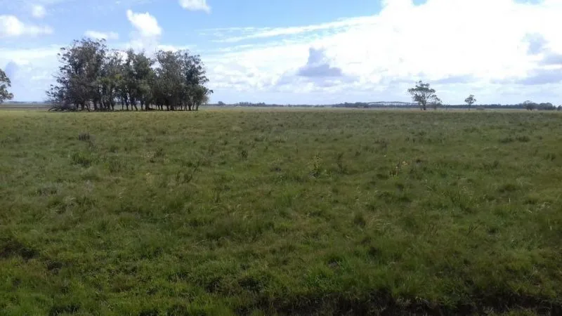Campo en venta en Rocha 20ha — foto 2