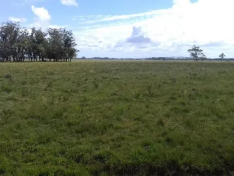 Campo en venta en Rocha 20ha — foto 2