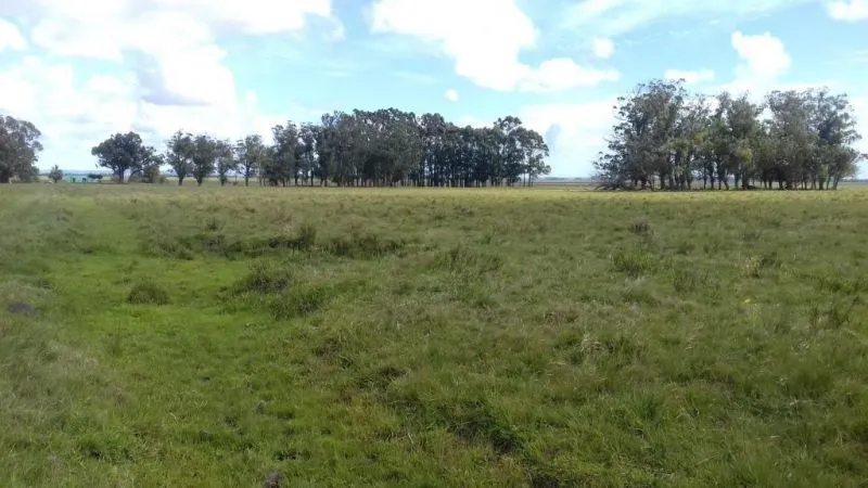 Campo en venta en Rocha 20ha — foto 3